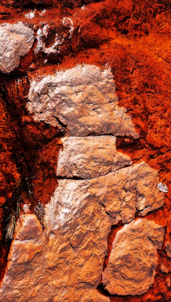 Australia Rocks - Abstract 27 by Lexa Harpell